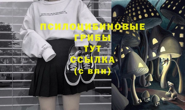 прущие грибы Магадан