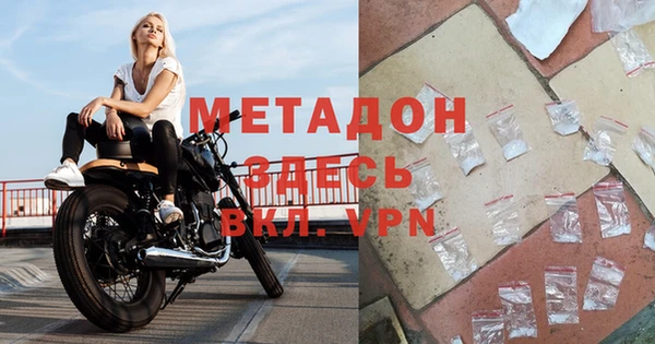 прущие грибы Магадан