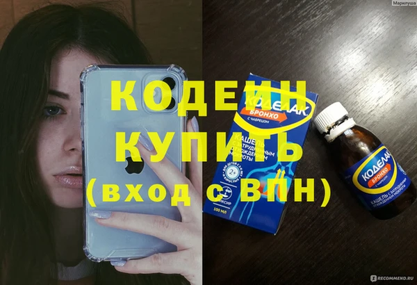прущие грибы Магадан