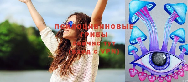 дурь Лихославль