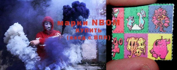 прущие грибы Магадан