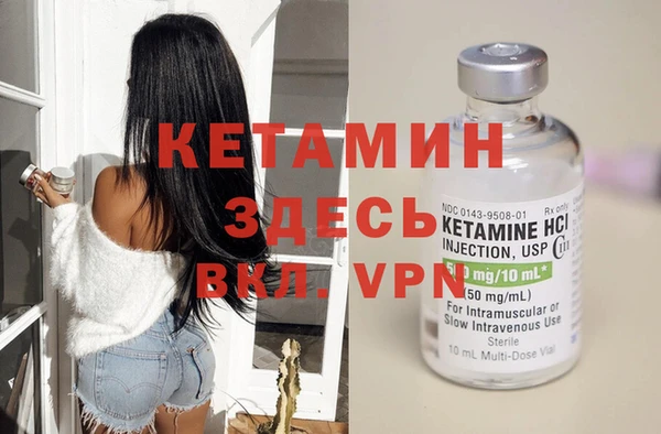прущие грибы Магадан