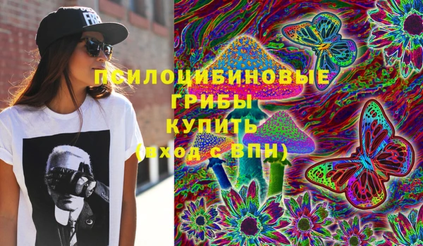 круглые Магас