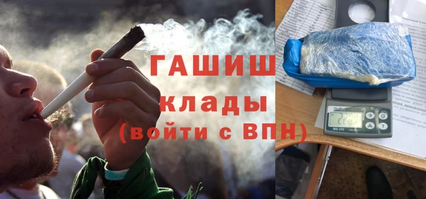 прущие грибы Магадан