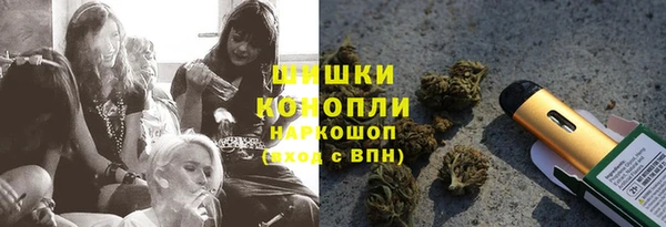 прущие грибы Магадан