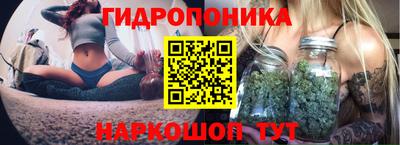 гидропоника Заволжье