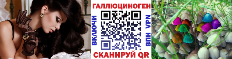 Псилоцибиновые грибы GOLDEN TEACHER  Людиново 