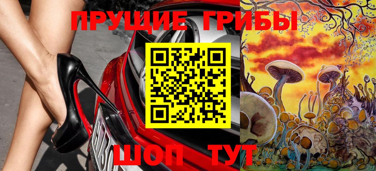 Галлюциногенные грибы Psilocybine cubensis Людиново