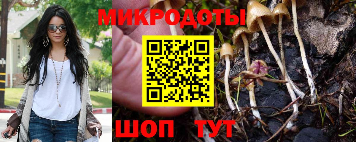 Псилоцибиновые грибы Magic Shrooms  Вход с VPN  Людиново 